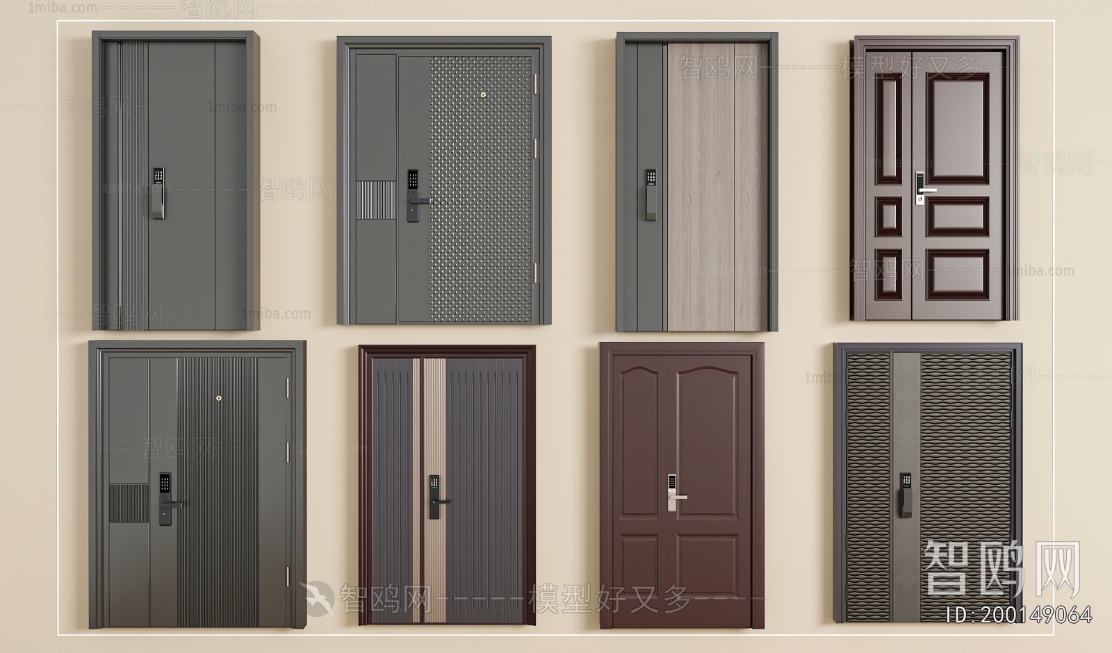 Modern Entrance Door