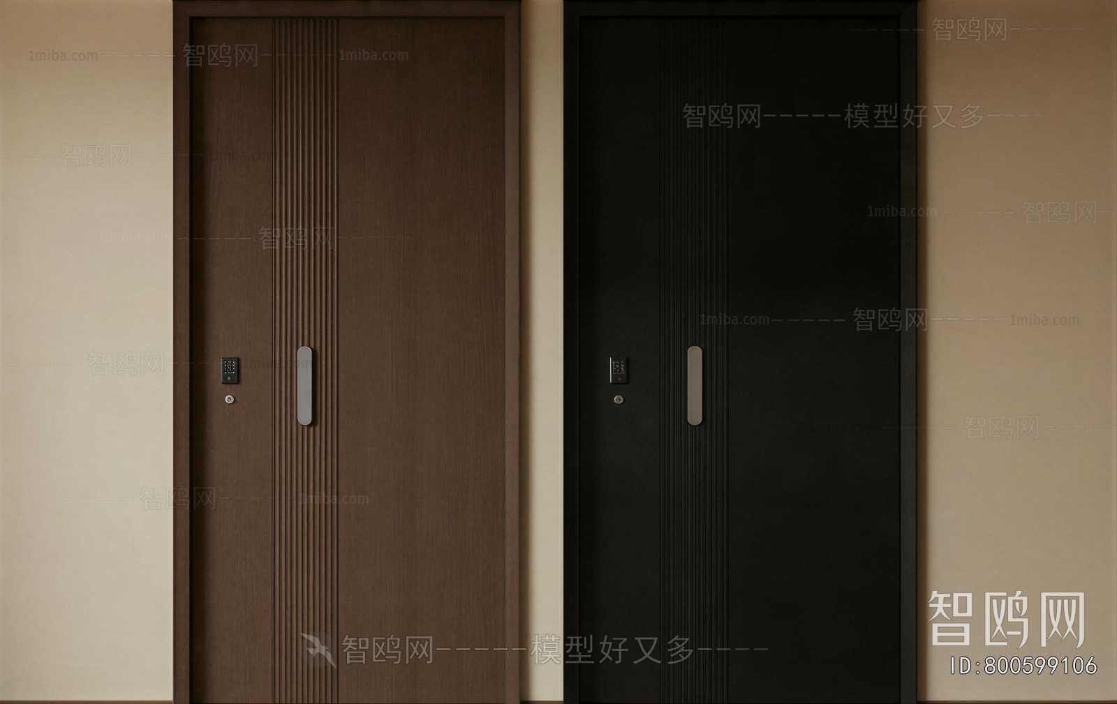 Modern Entrance Door