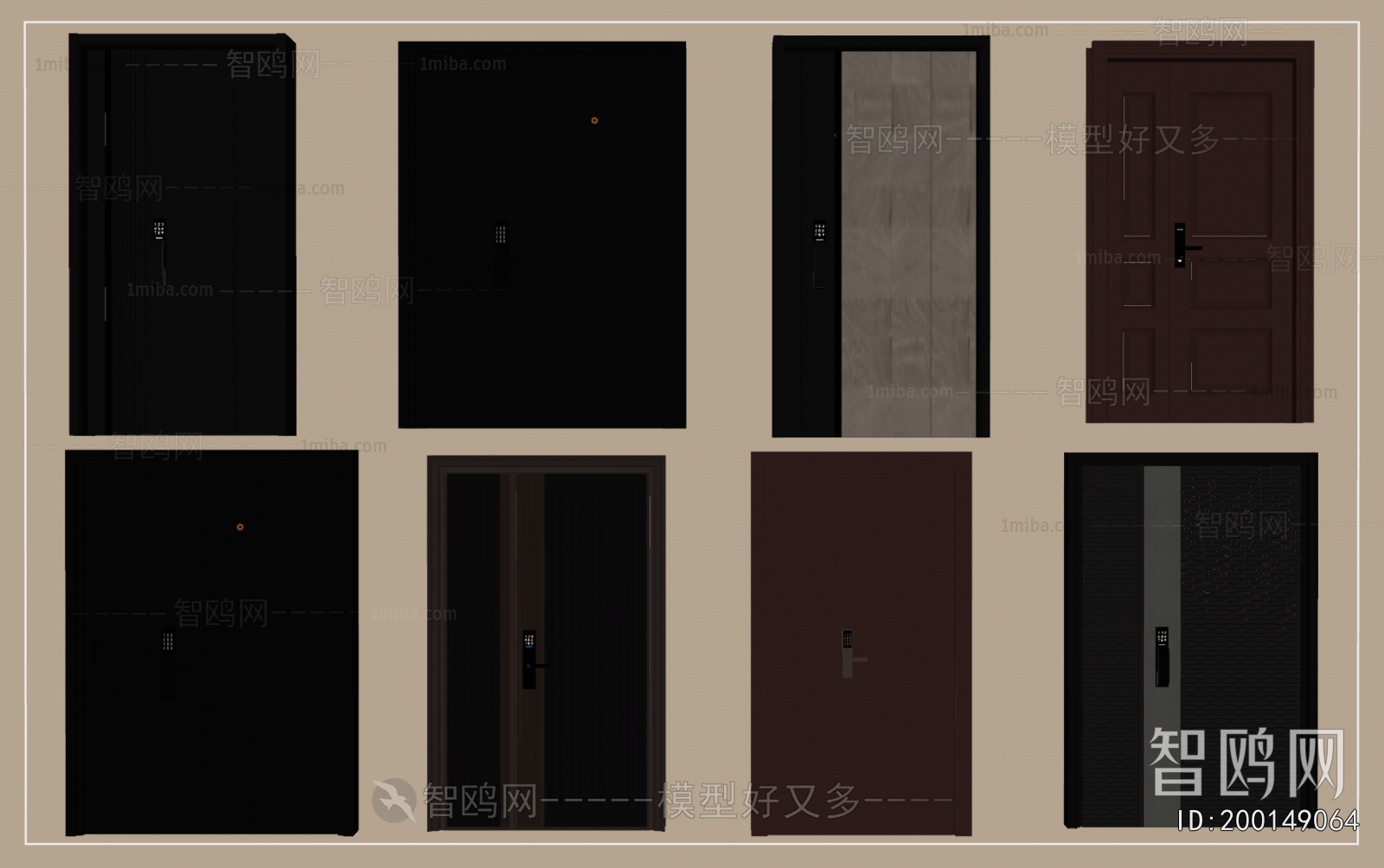 Modern Entrance Door