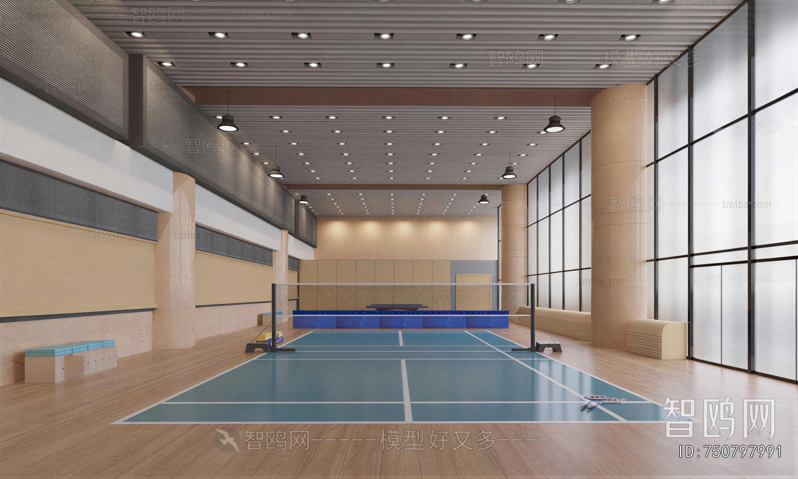 Modern Indoor Badminton Court
