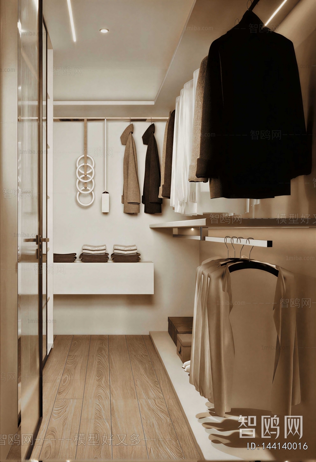 Modern Clothes Storage Area