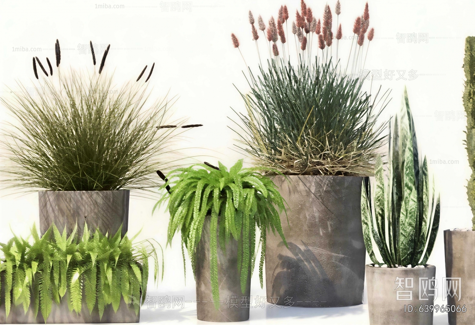 Modern Ground Green Plant Potted Plants