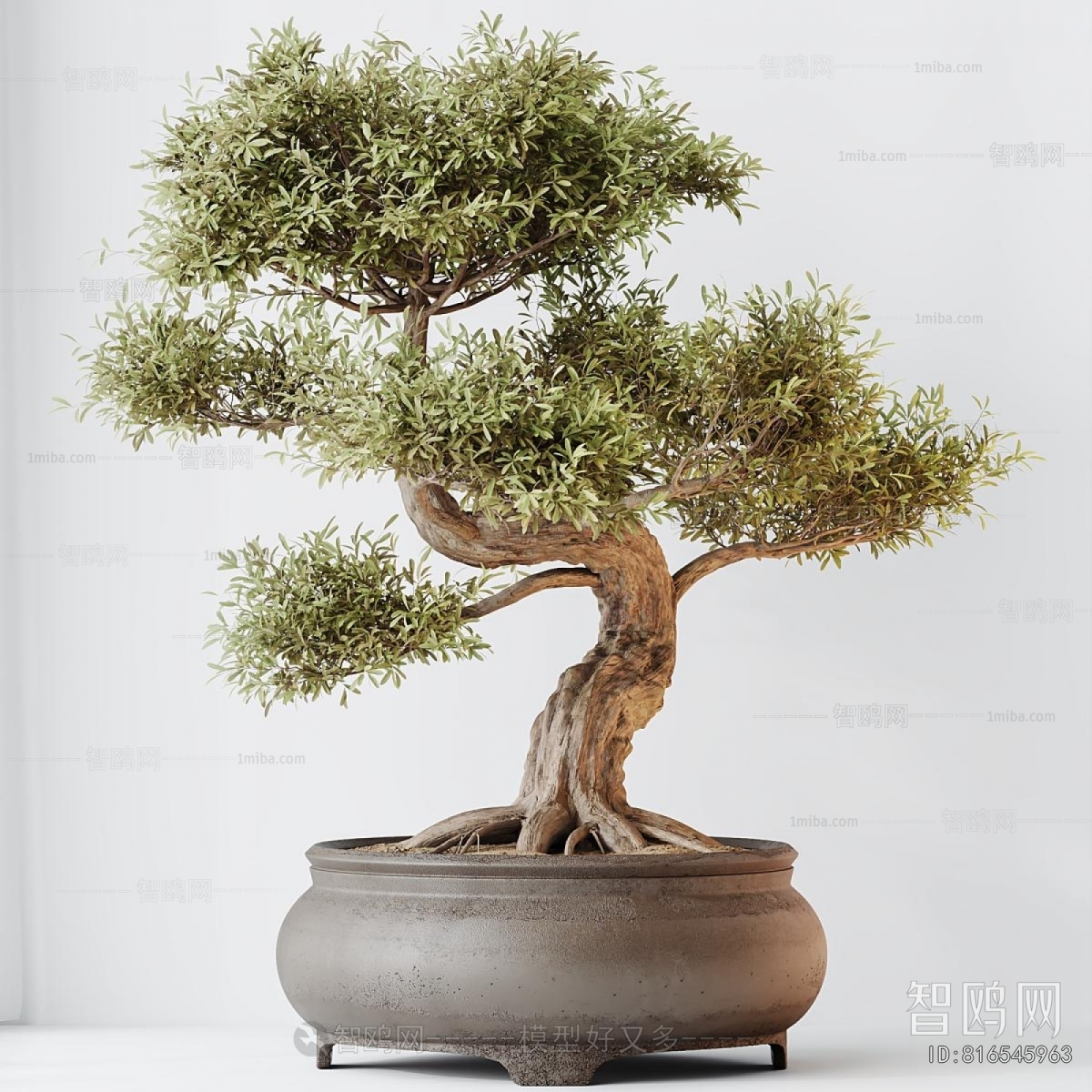 New Chinese Style Bonsai