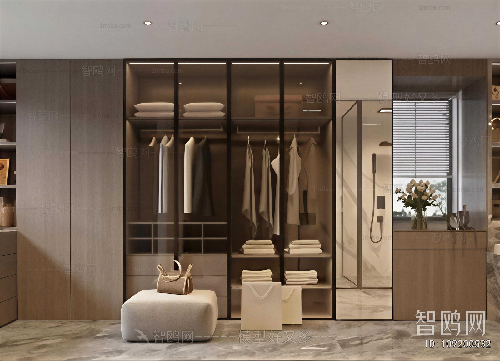 Modern Clothes Storage Area
