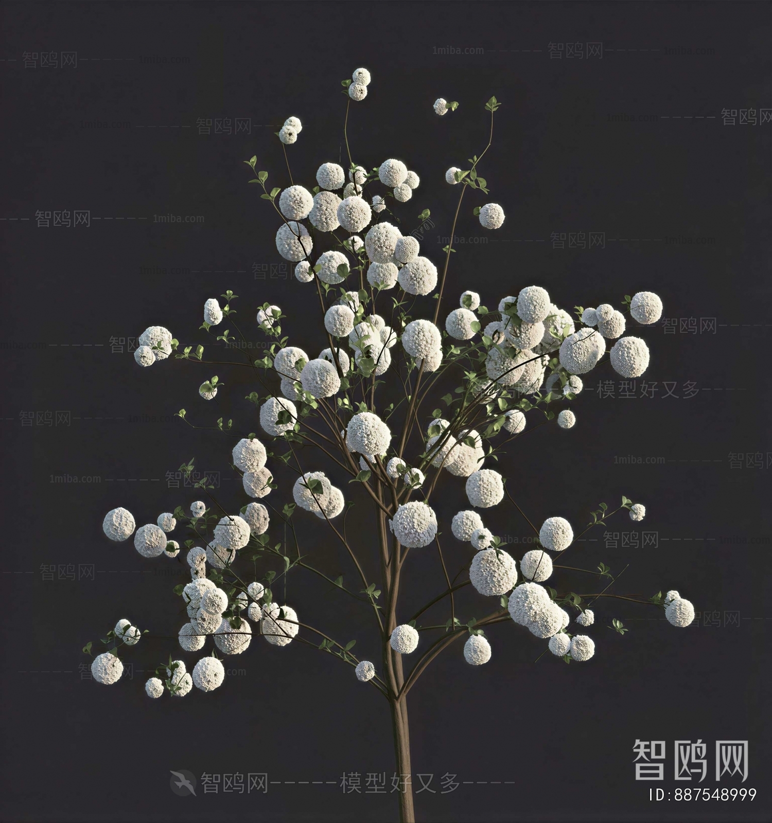 Modern Flowers And Grass