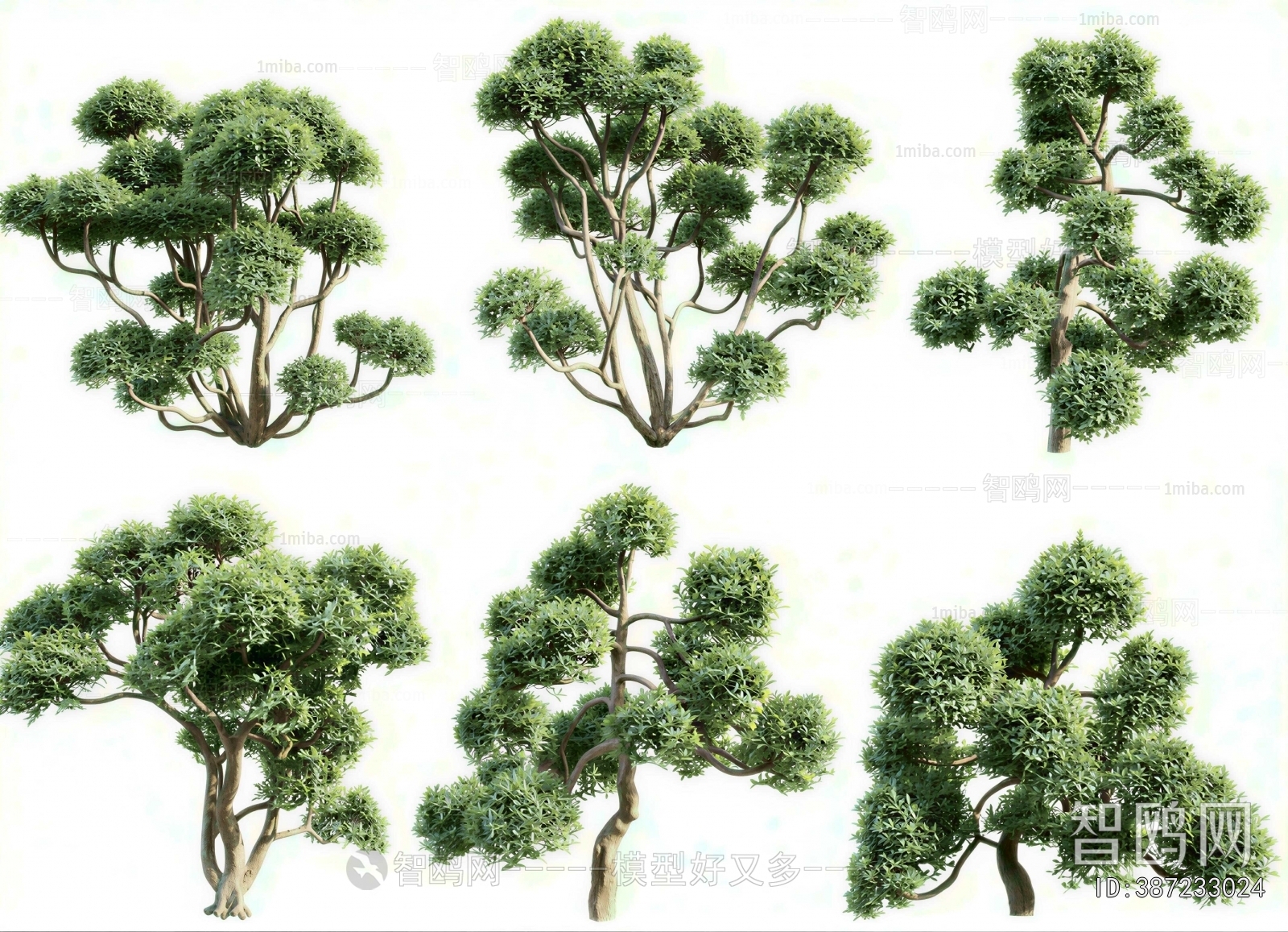 Modern Tree