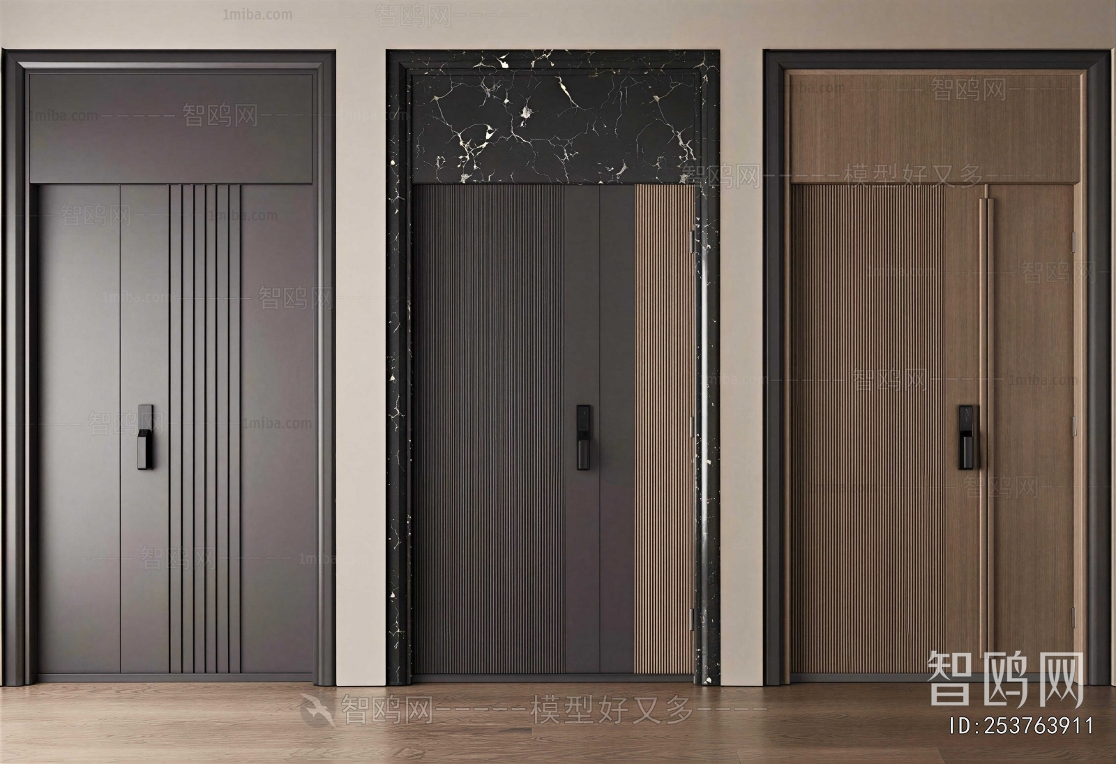 Modern Entrance Door