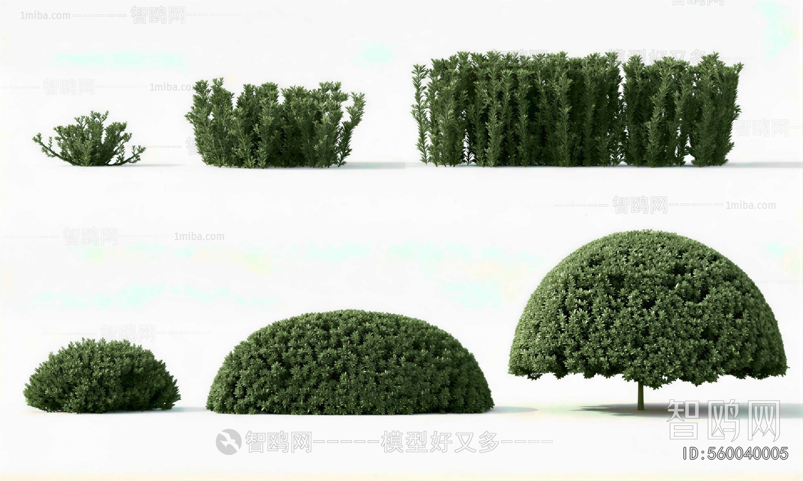 Modern Shrubbery