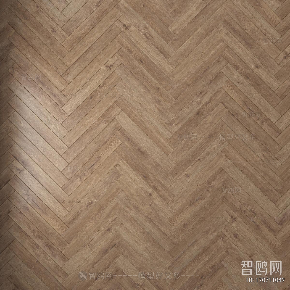 Modern Floor