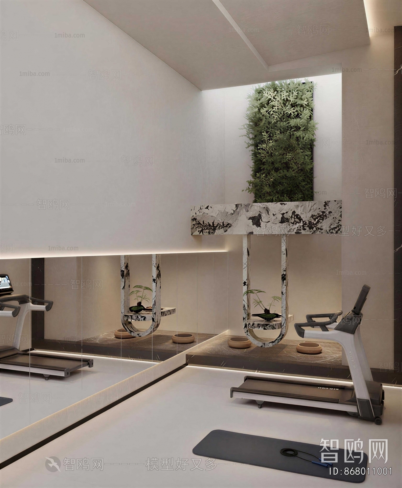 Modern Home Fitness Room
