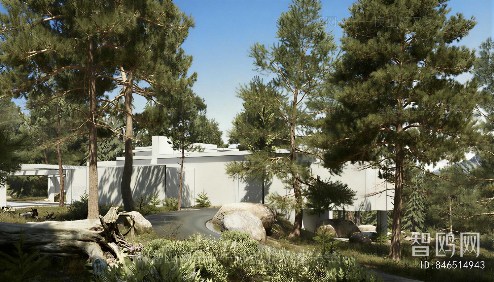 Modern Courtyard/landscape