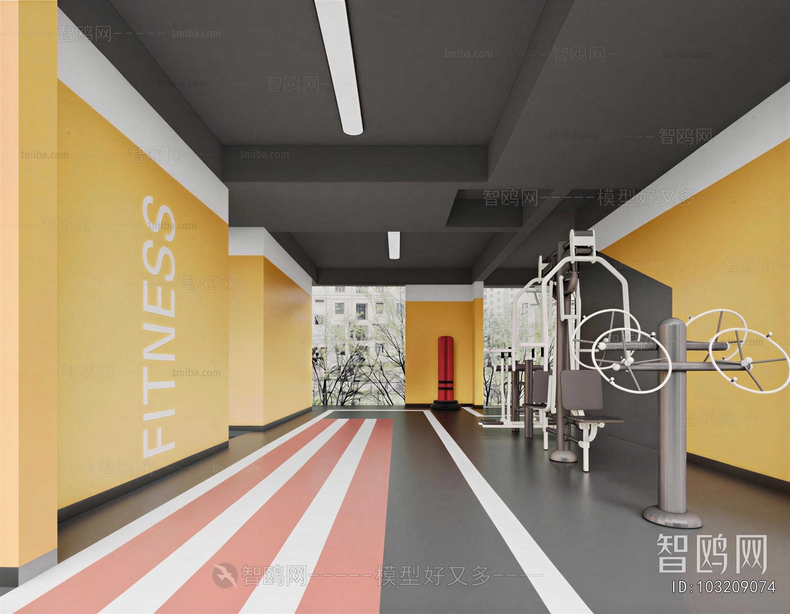 Modern Gym