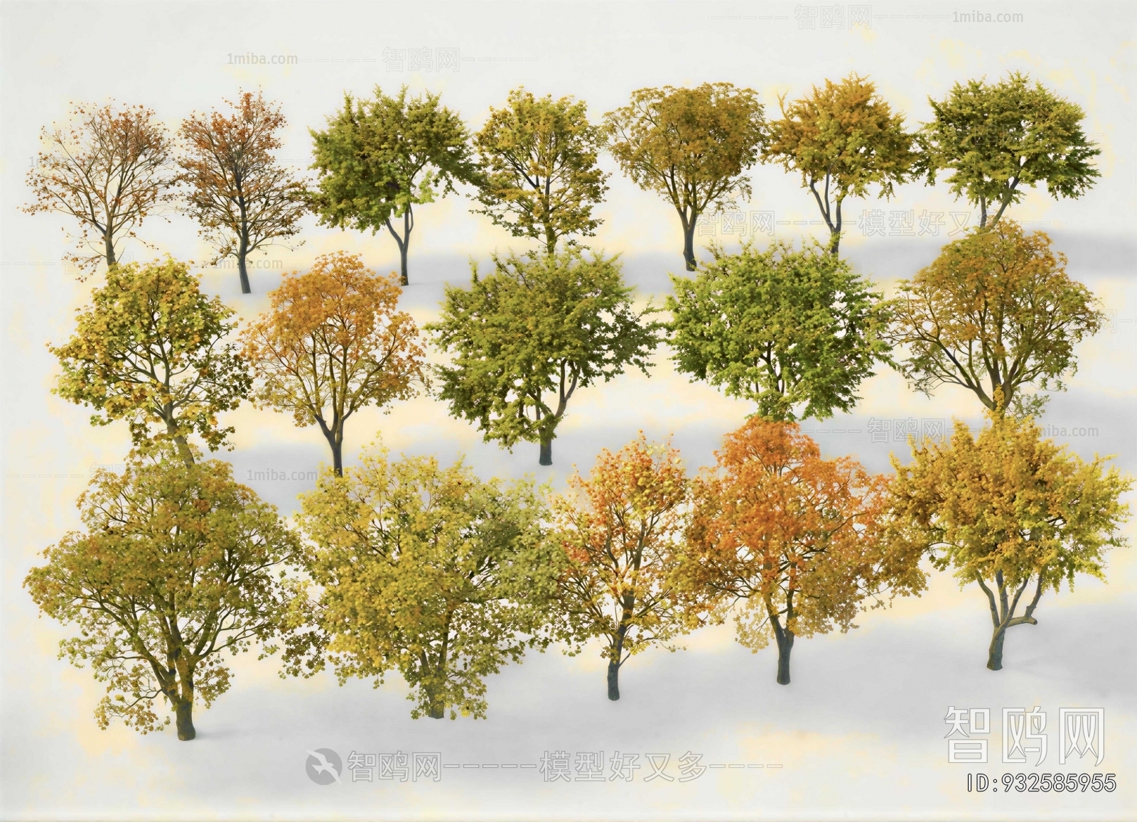 Modern Tree