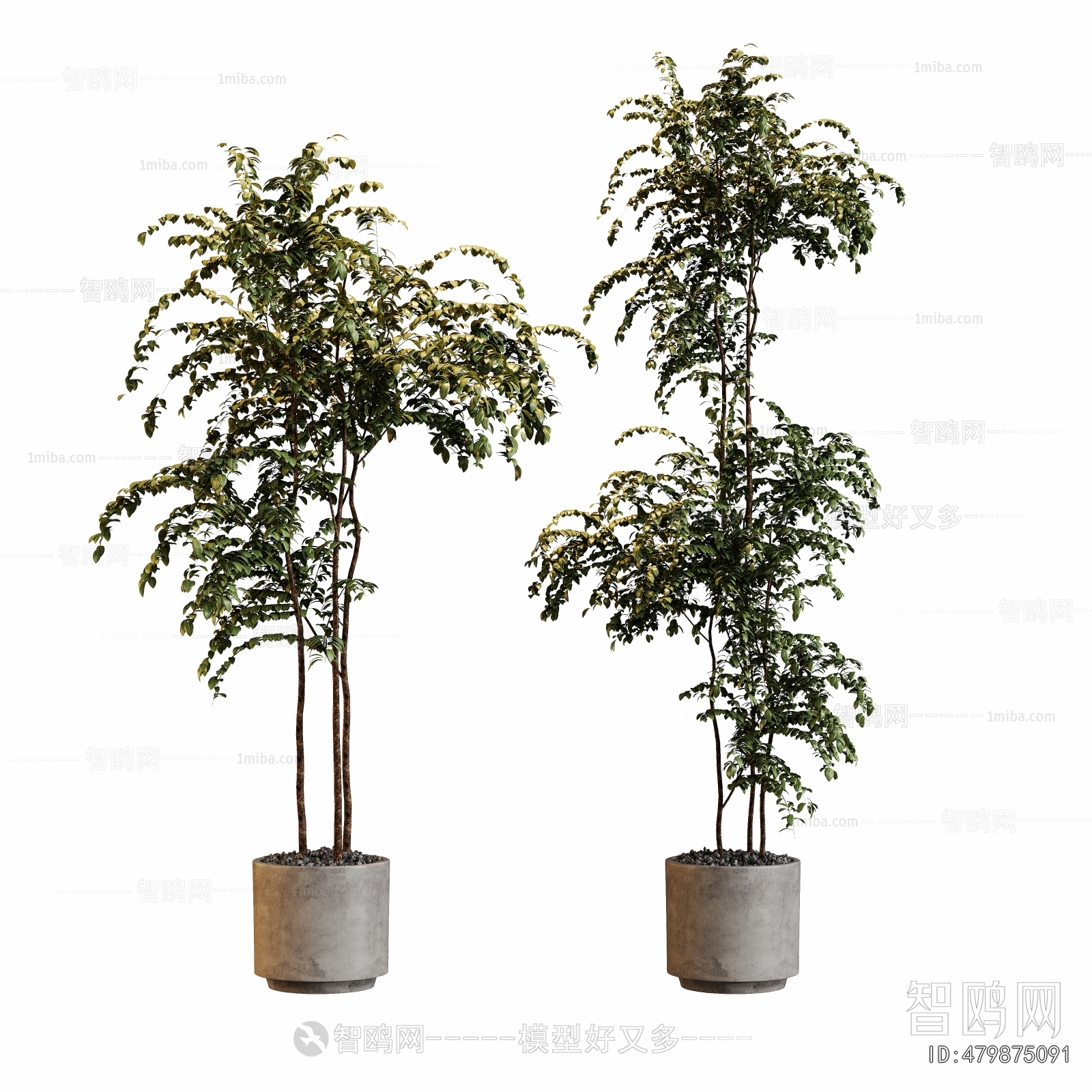 Modern Ground Green Plant Potted Plants