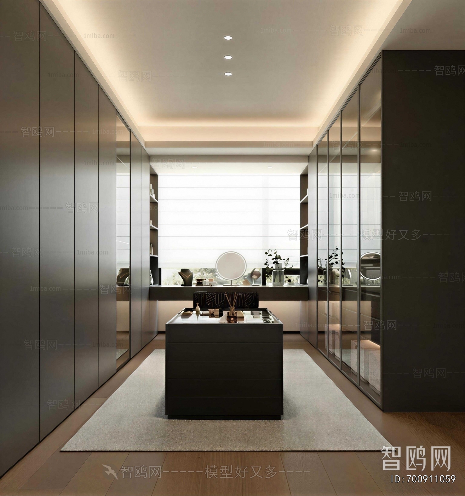 Modern Clothes Storage Area