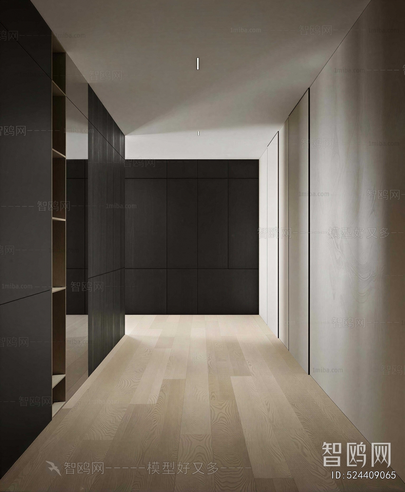 Modern Clothes Storage Area