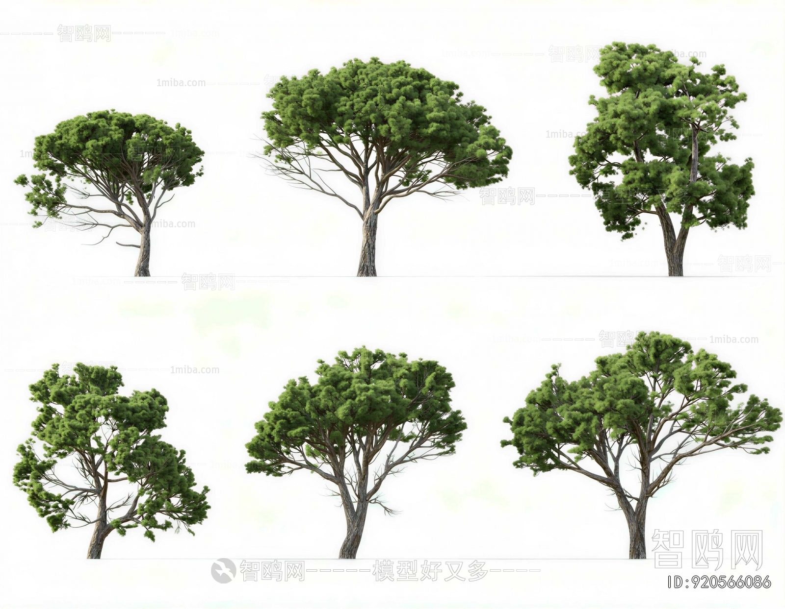 Modern Tree