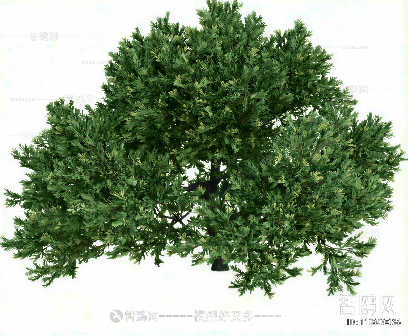 Modern Shrubbery