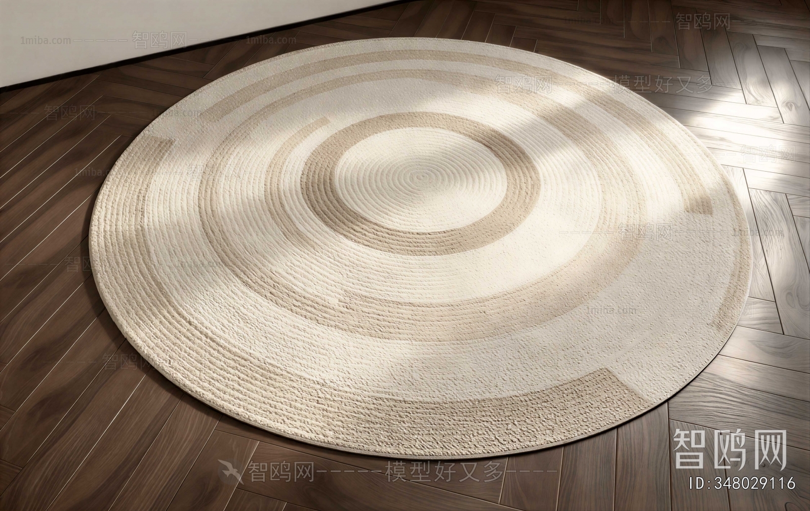 Modern Circular Carpet