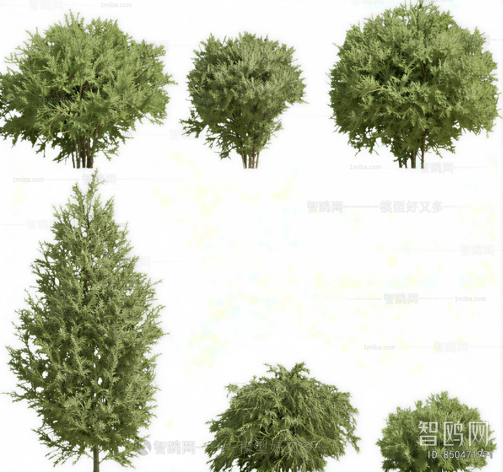 Modern Shrubbery