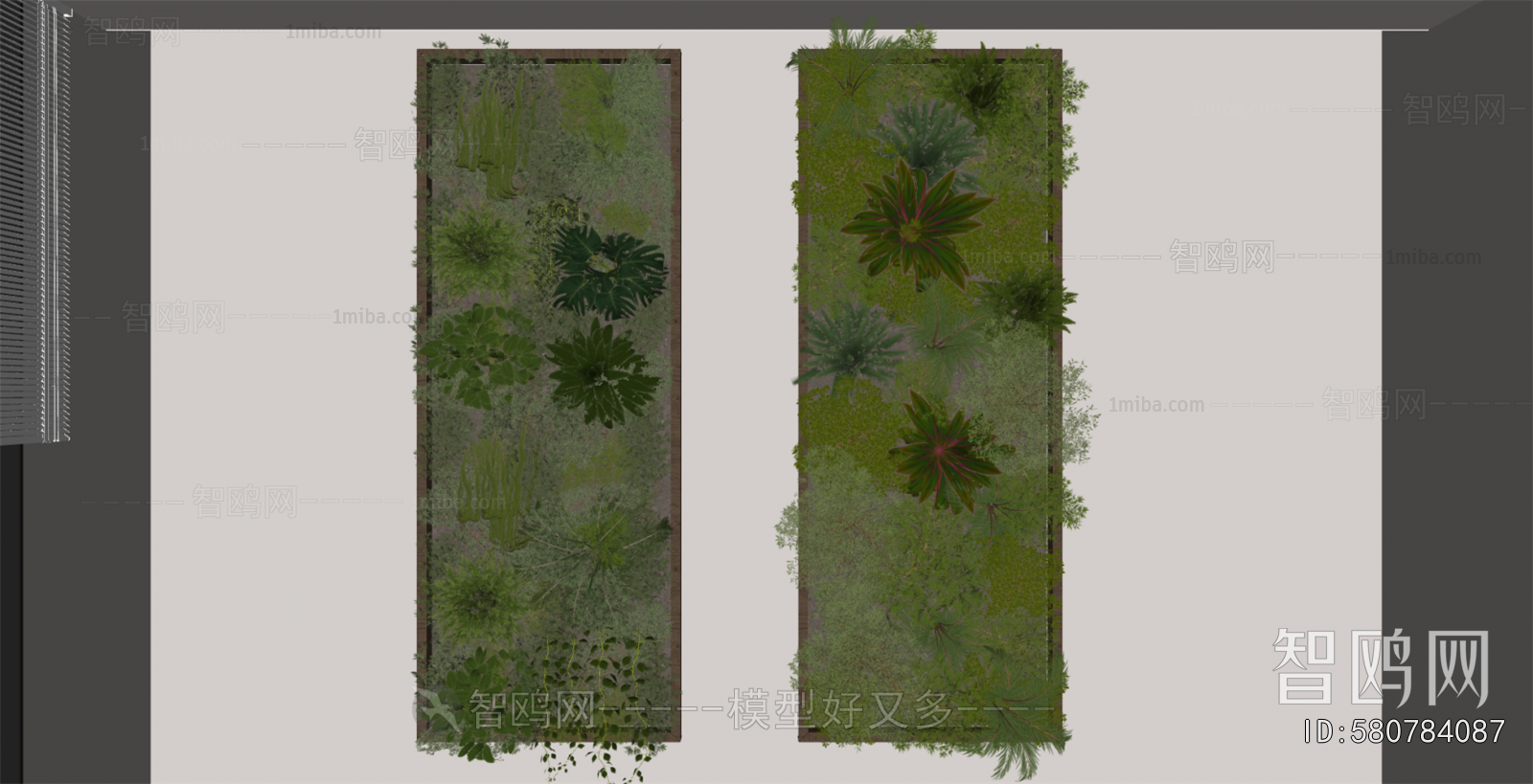 Modern Plant Wall
