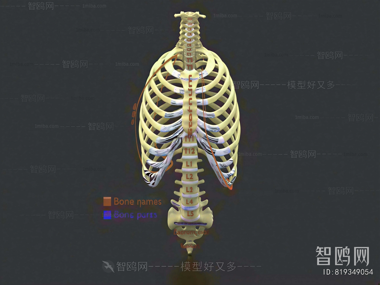 Modern Medical Equipment