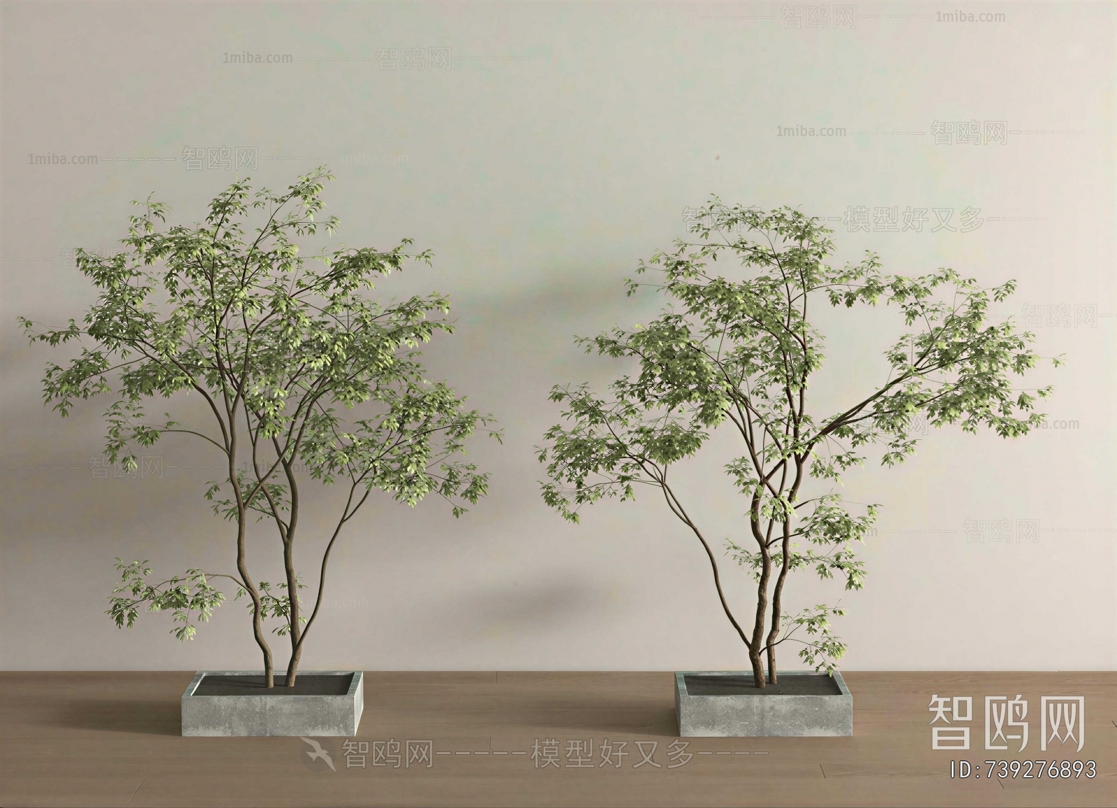 Modern Tree