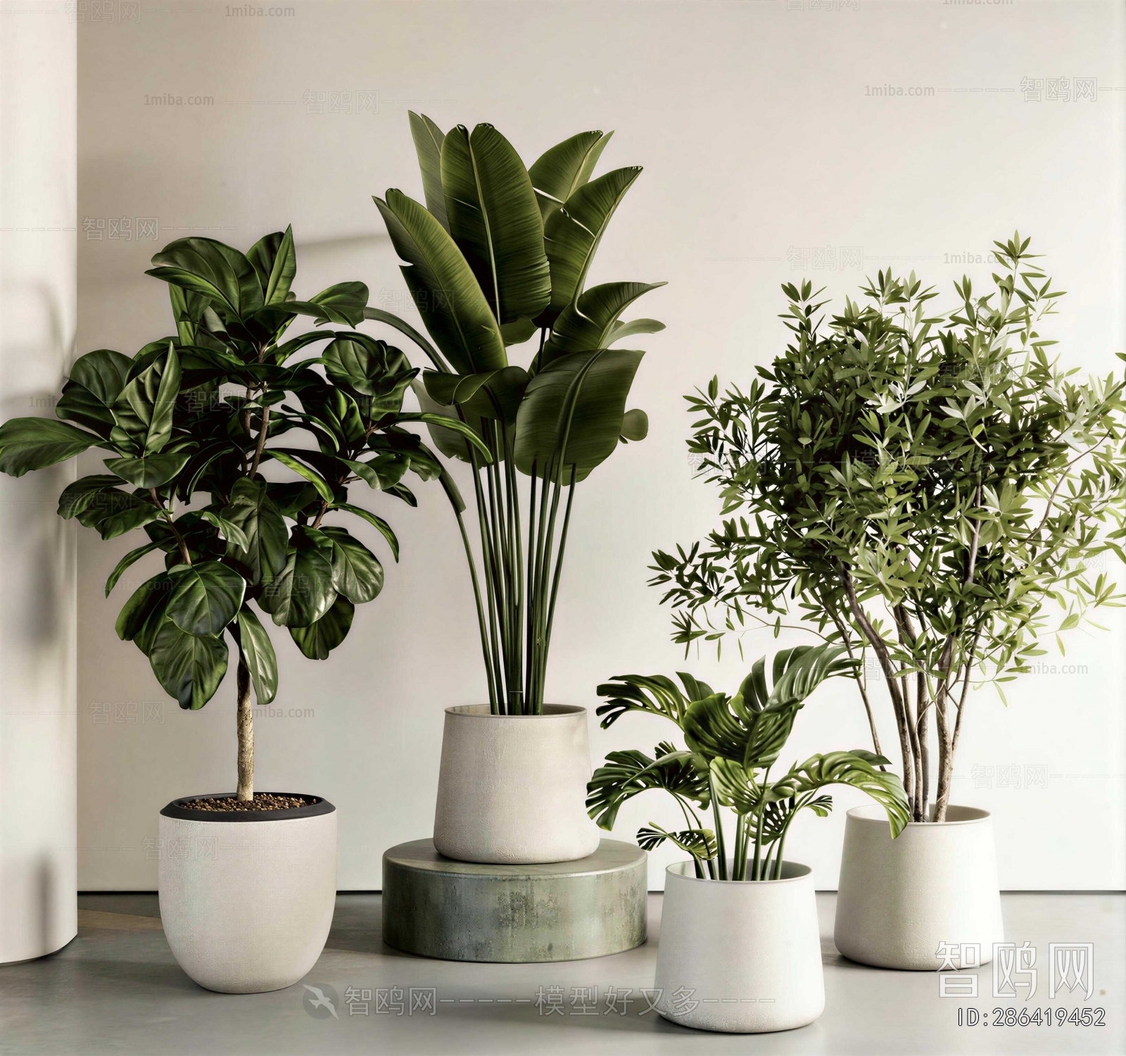 Modern Ground Green Plant Potted Plants