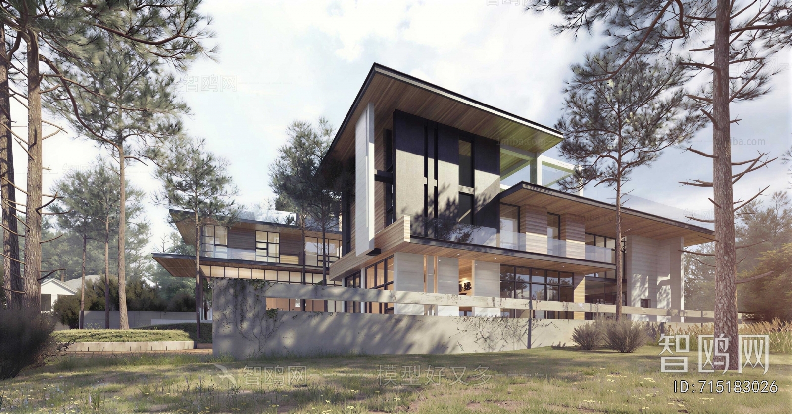 Modern Detached Villa