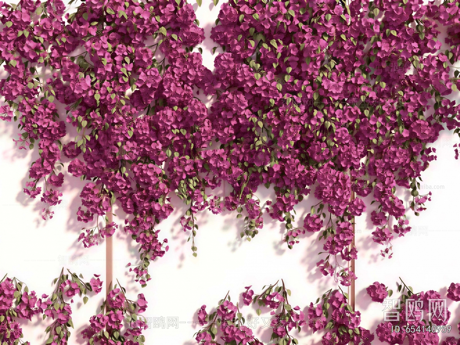 Modern Vine