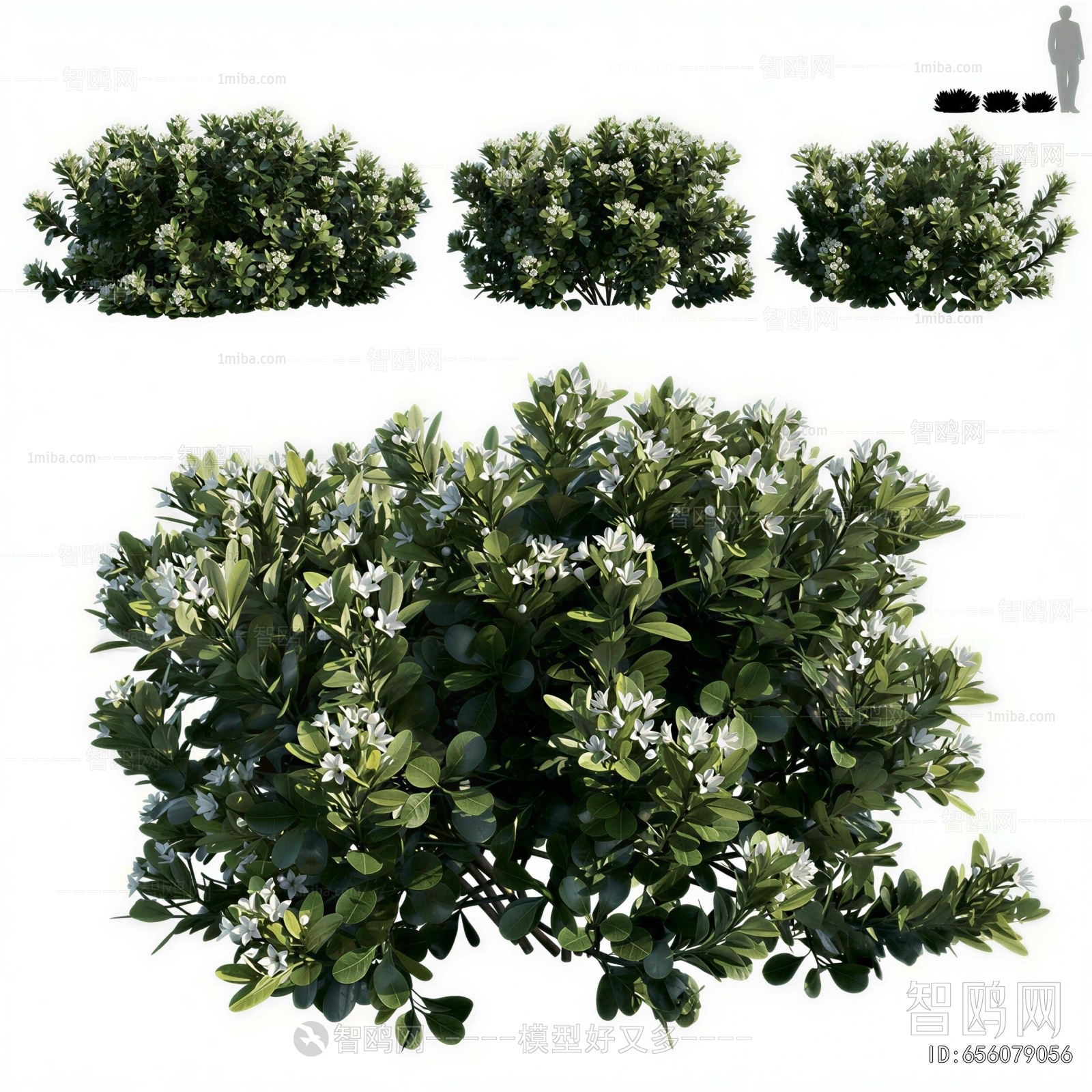 Modern Shrubbery
