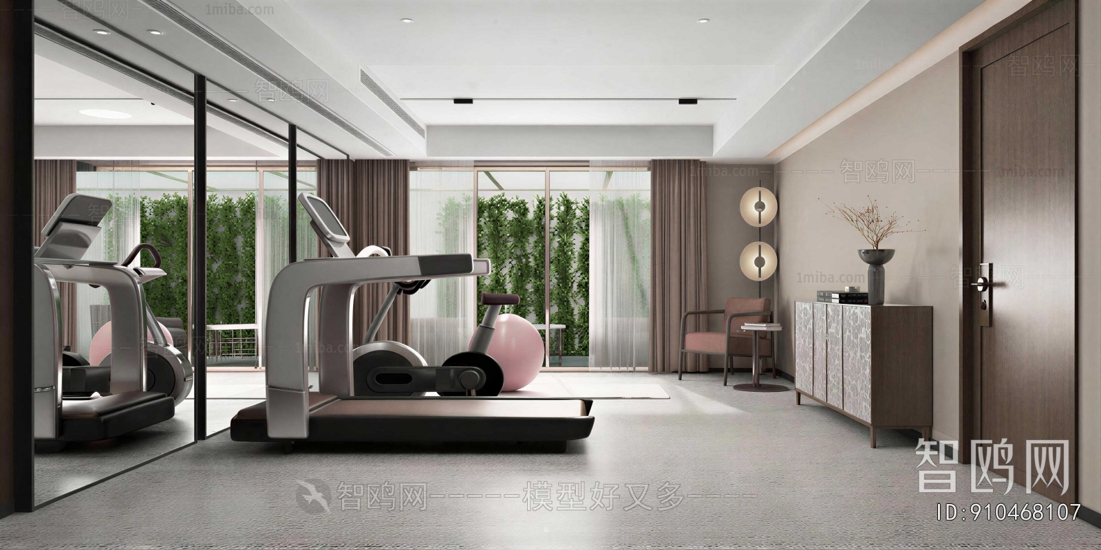 Modern Home Fitness Room