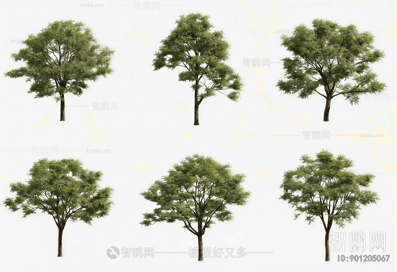 Modern Tree