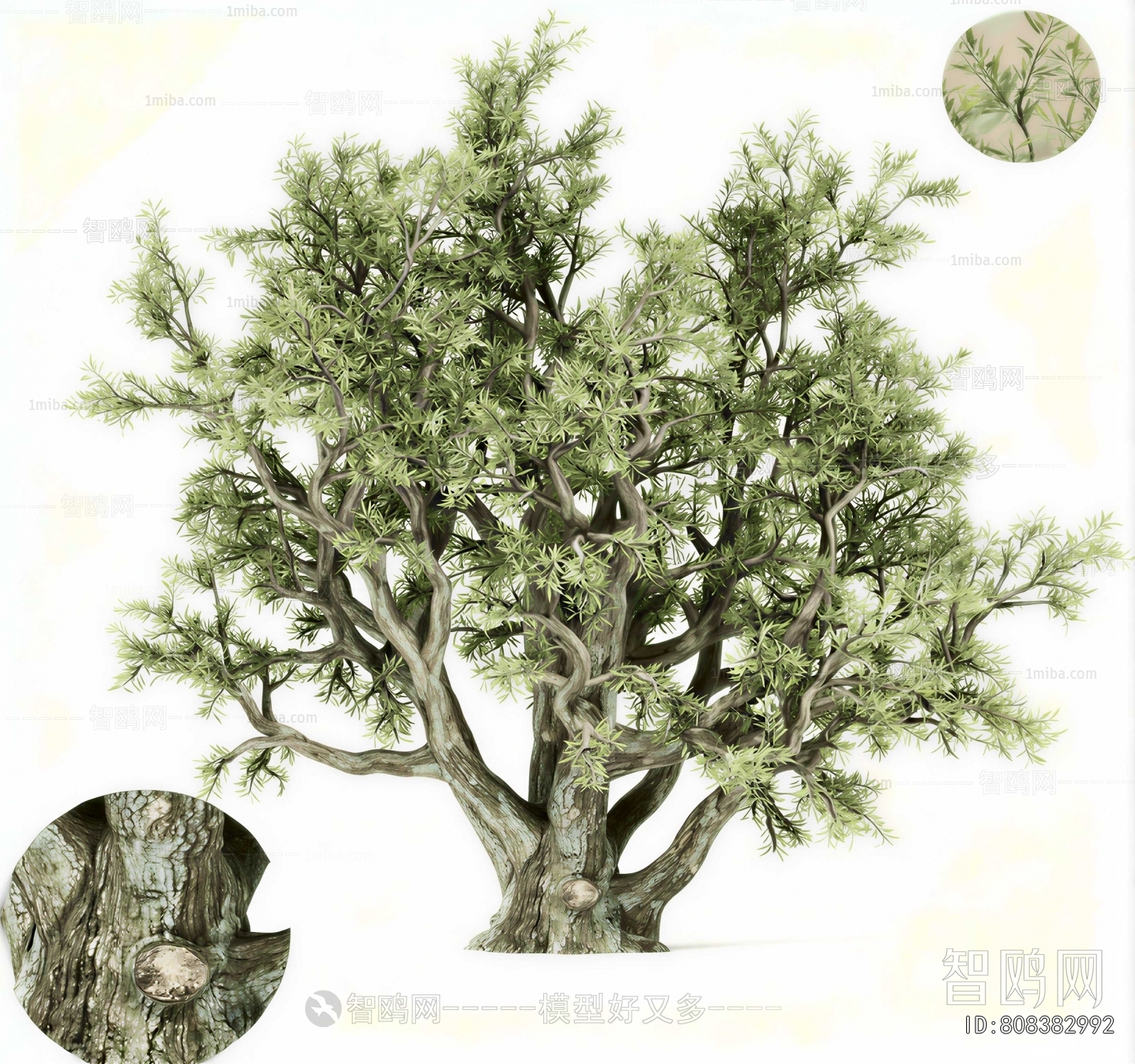 Modern Tree