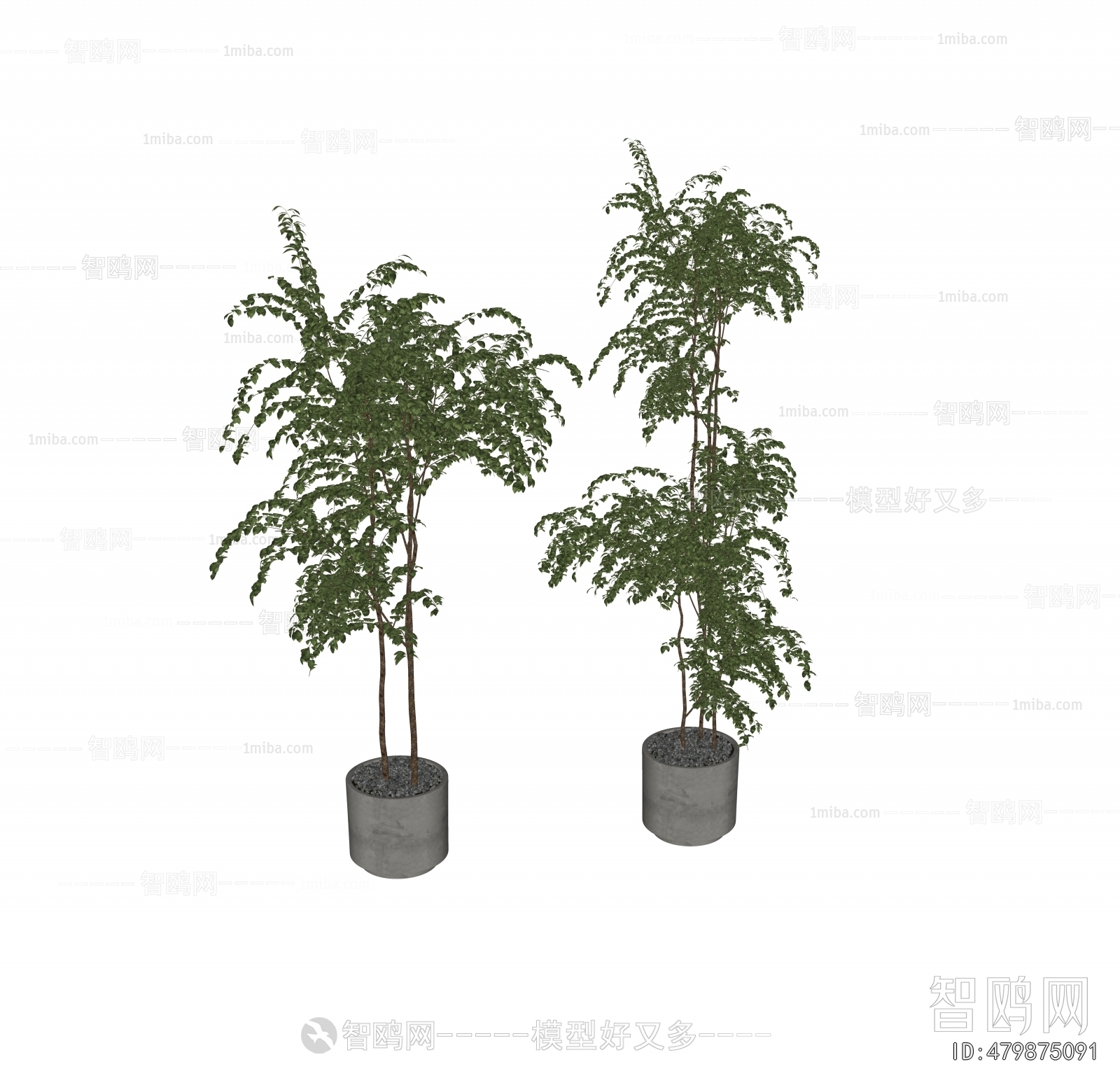 Modern Ground Green Plant Potted Plants