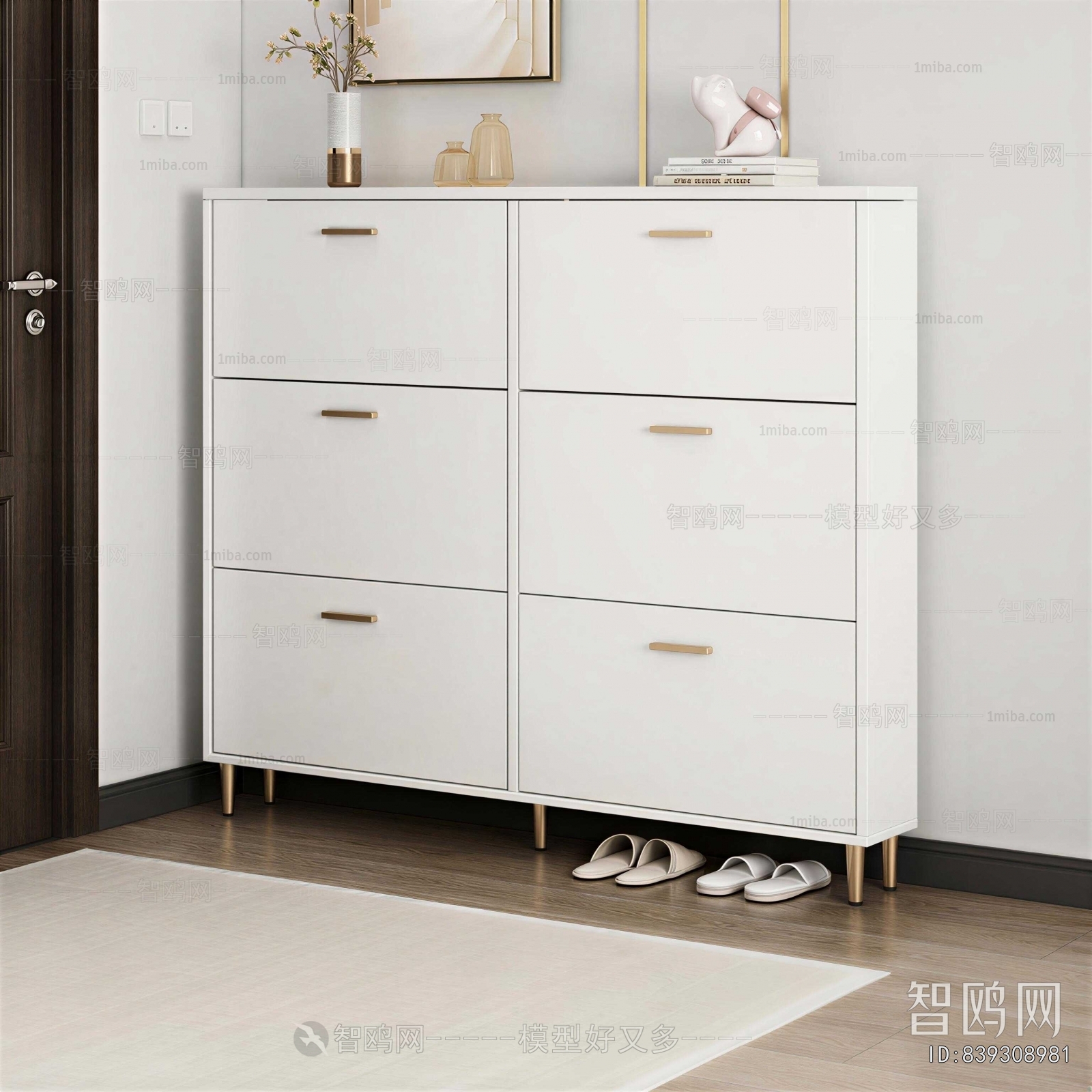 Modern Shoe Cabinet
