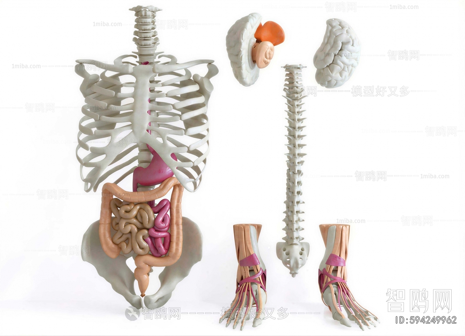 Modern Medical Equipment