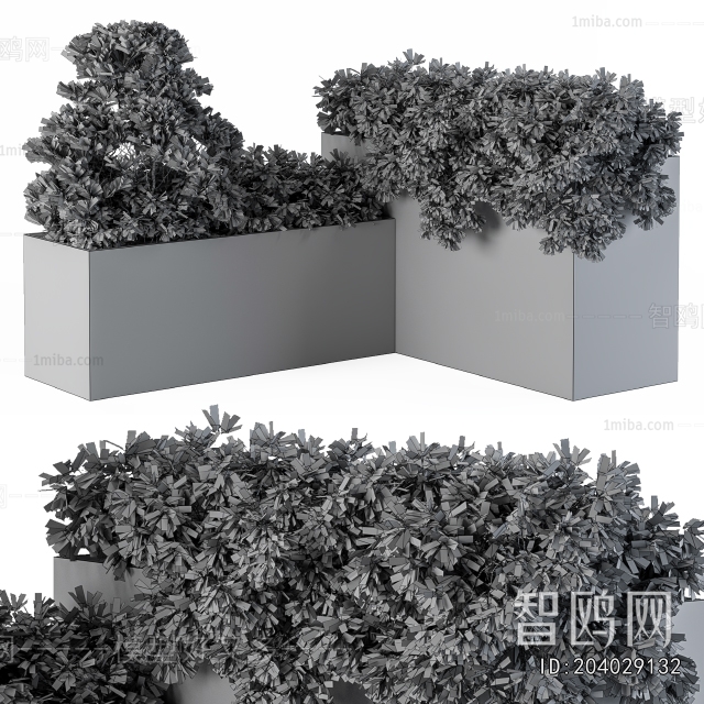 Modern Flower Bed, Flower Bowl, Flower Box
