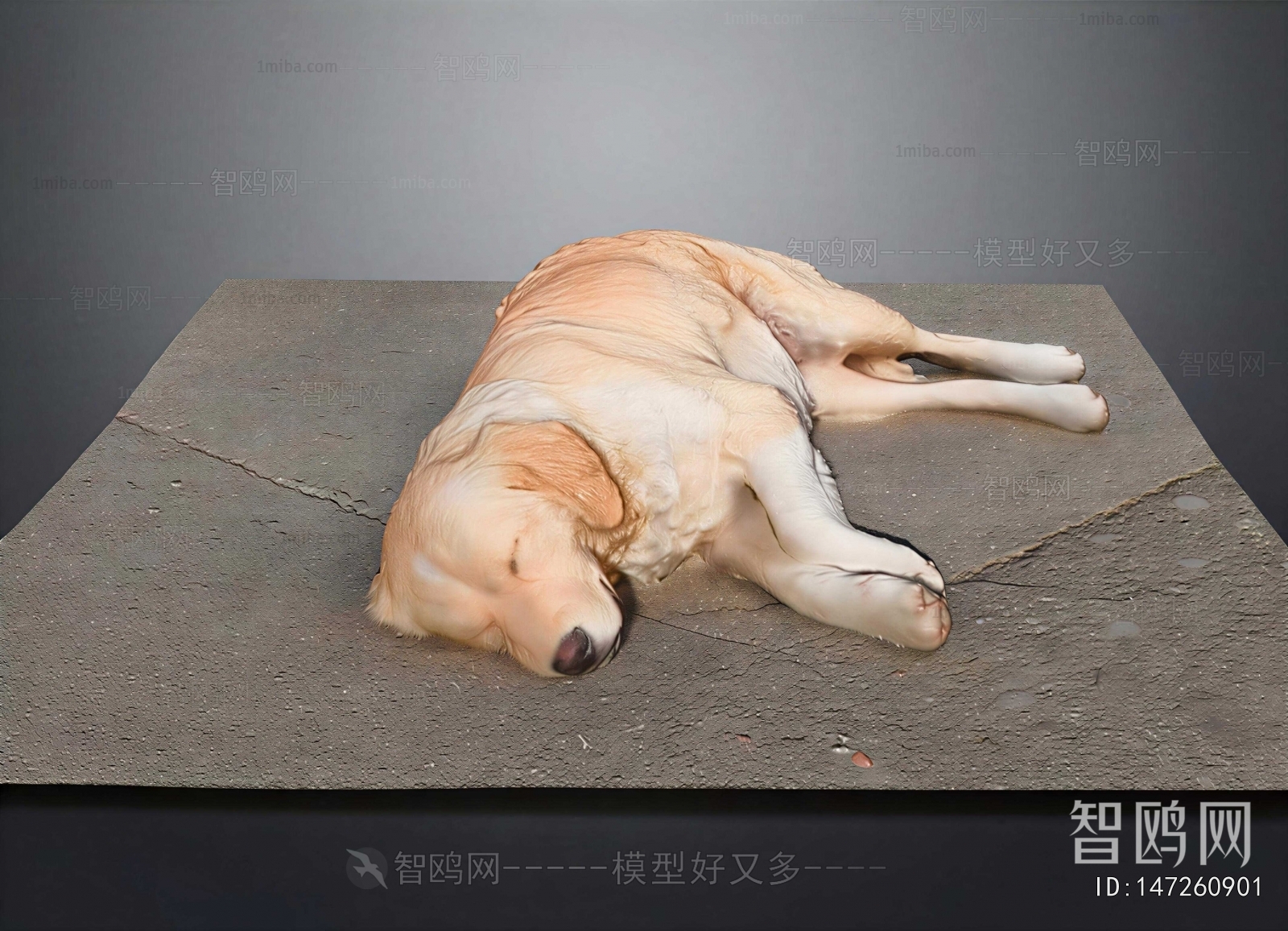 Modern Animal Dog