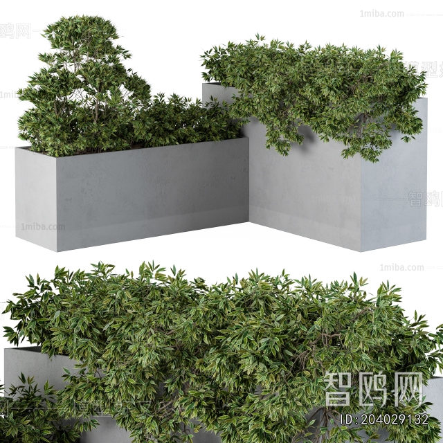 Modern Flower Bed, Flower Bowl, Flower Box