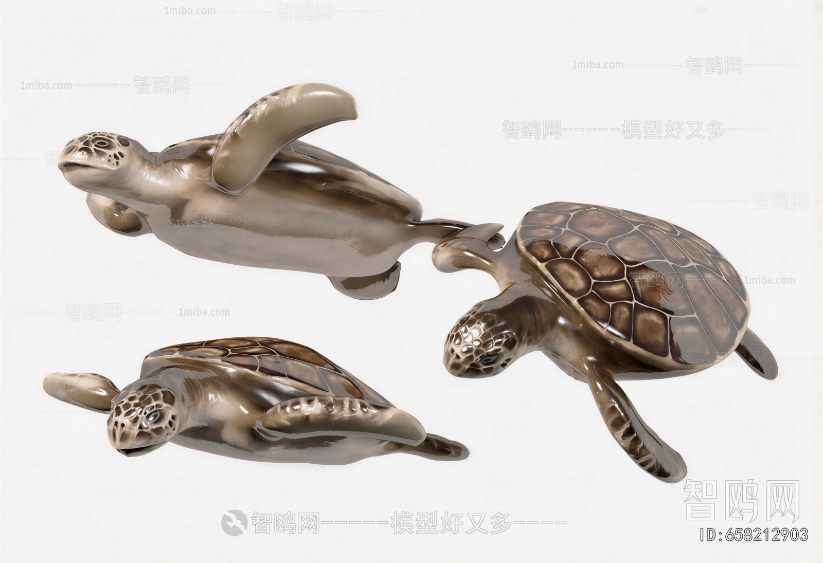 Modern Aquatic Animals