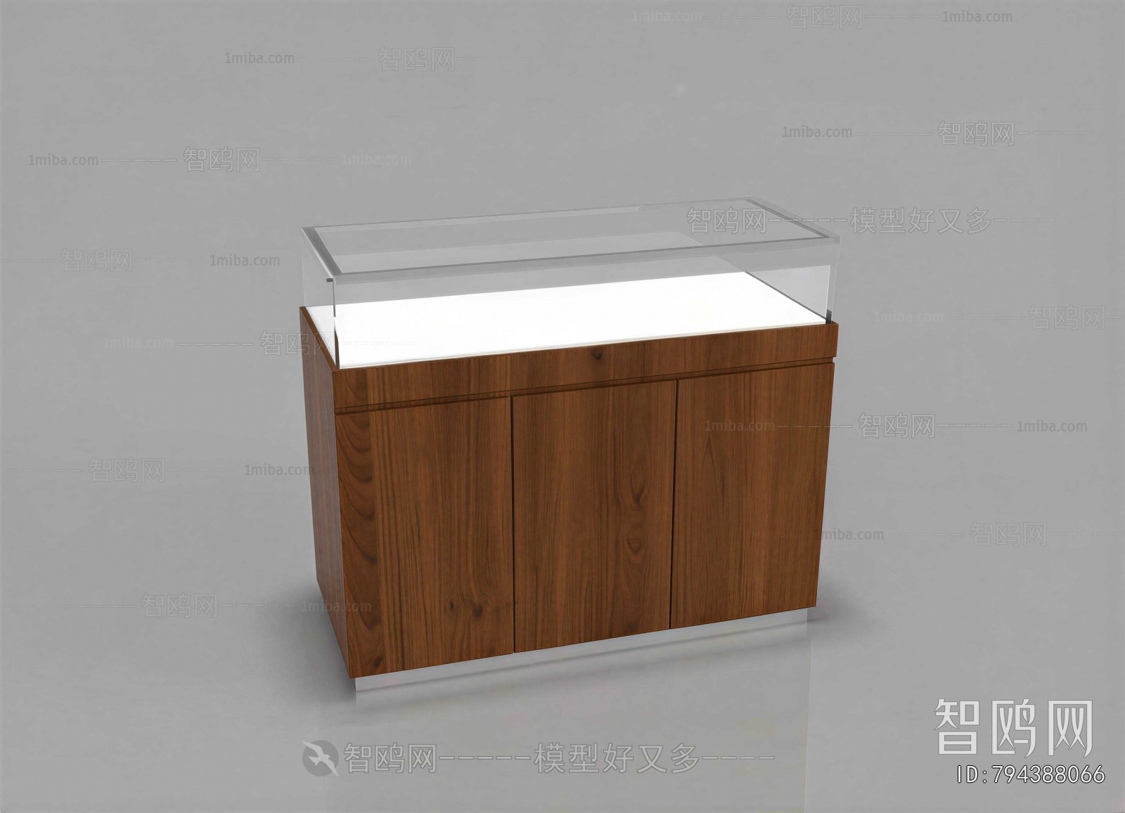 Modern Showcase