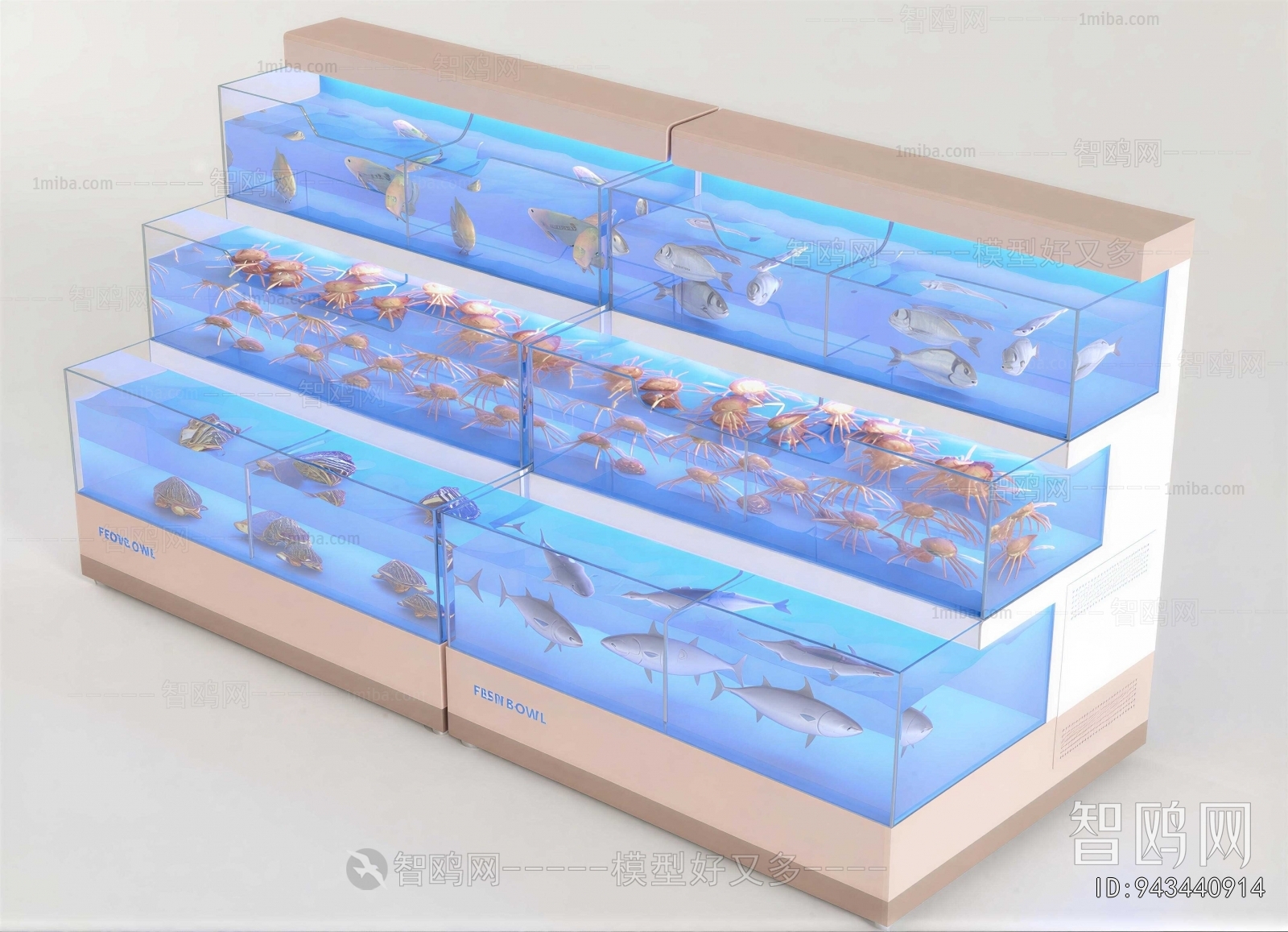 Modern Fish Tank