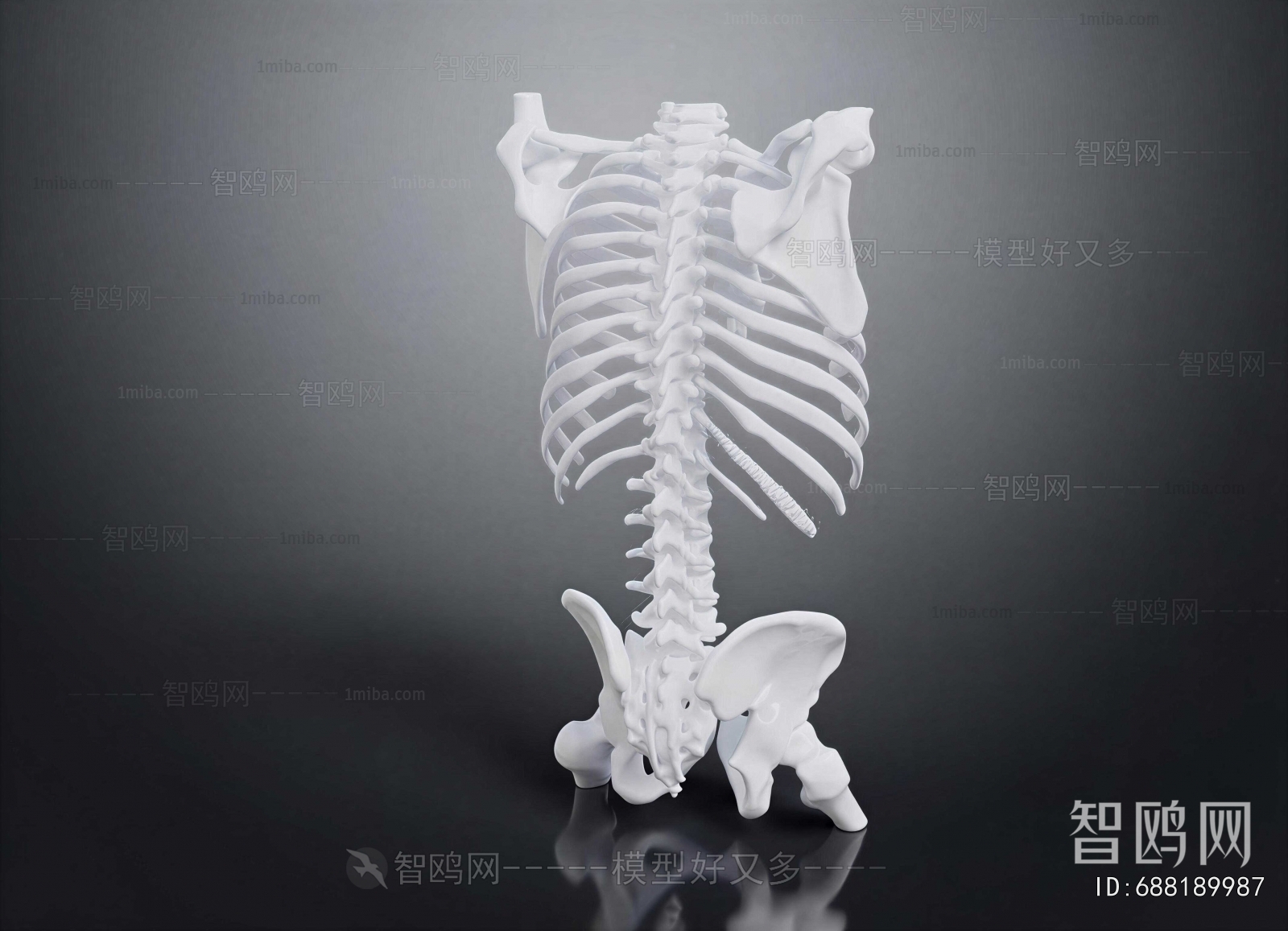 Modern Medical Equipment