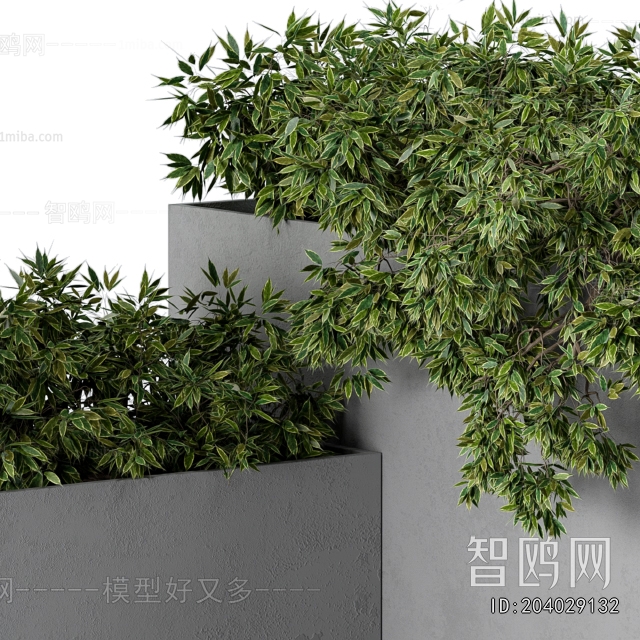 Modern Flower Bed, Flower Bowl, Flower Box