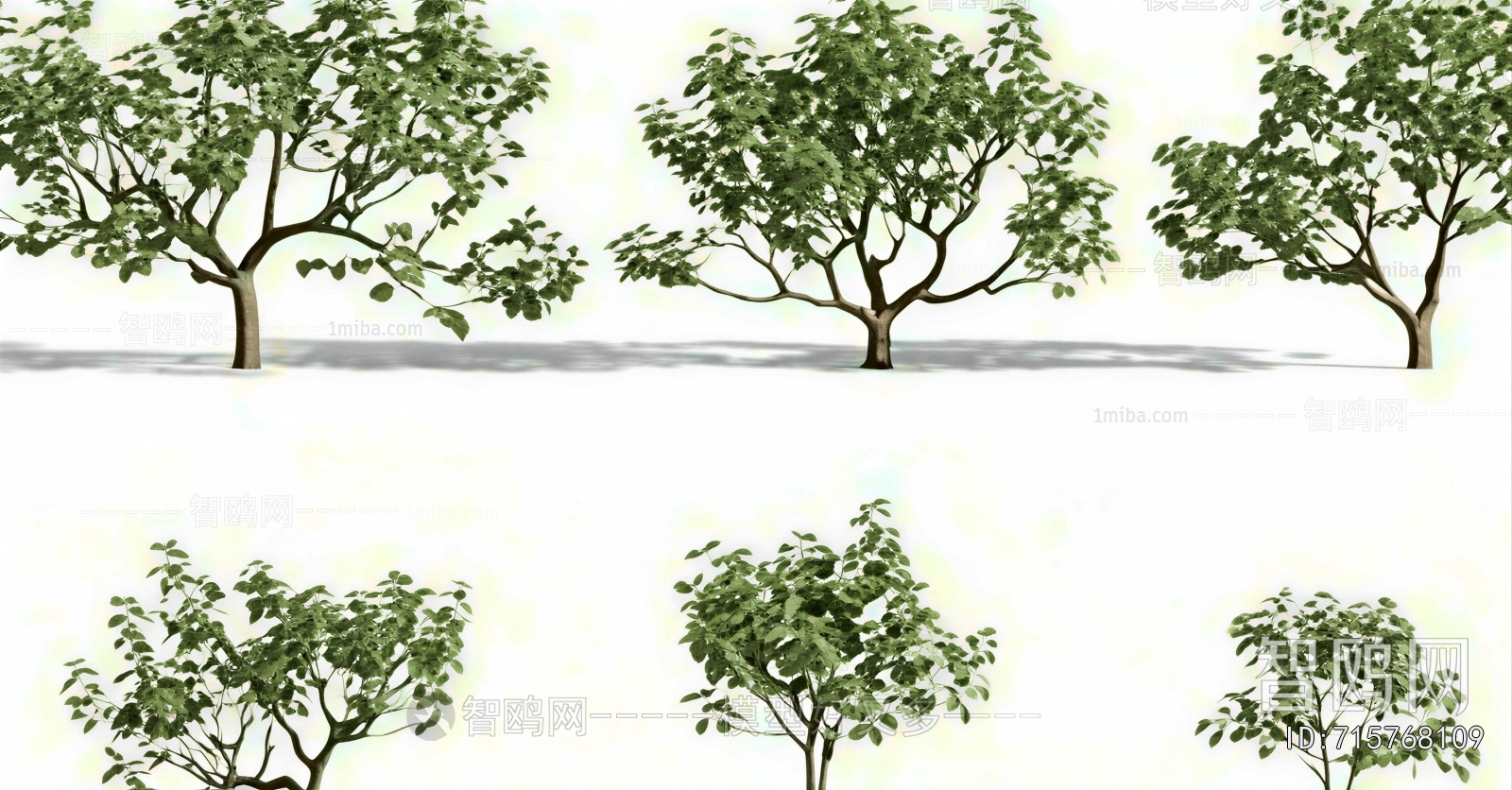 Modern Tree