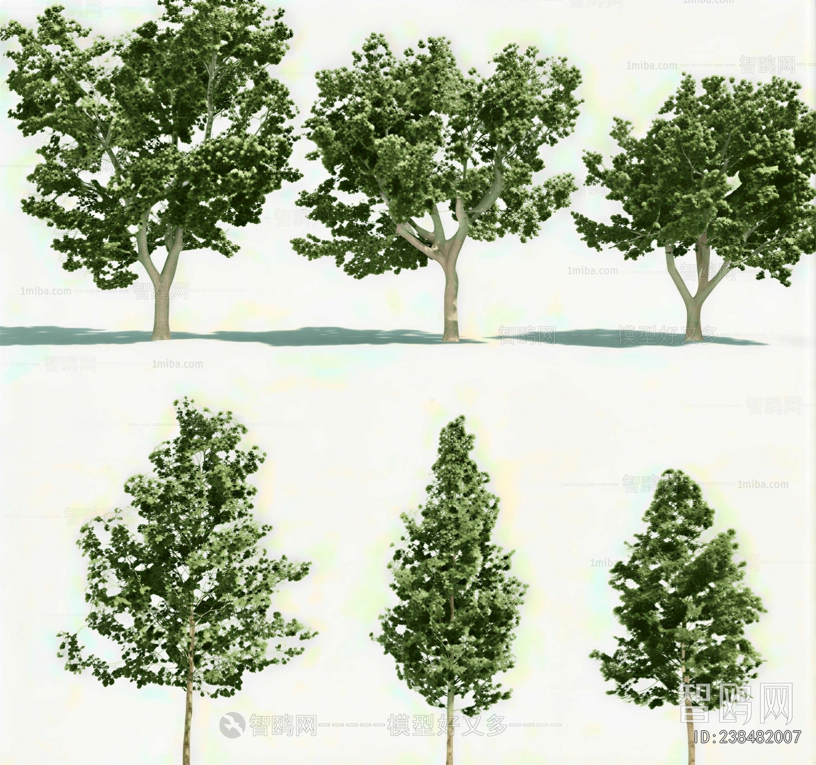 Modern Tree