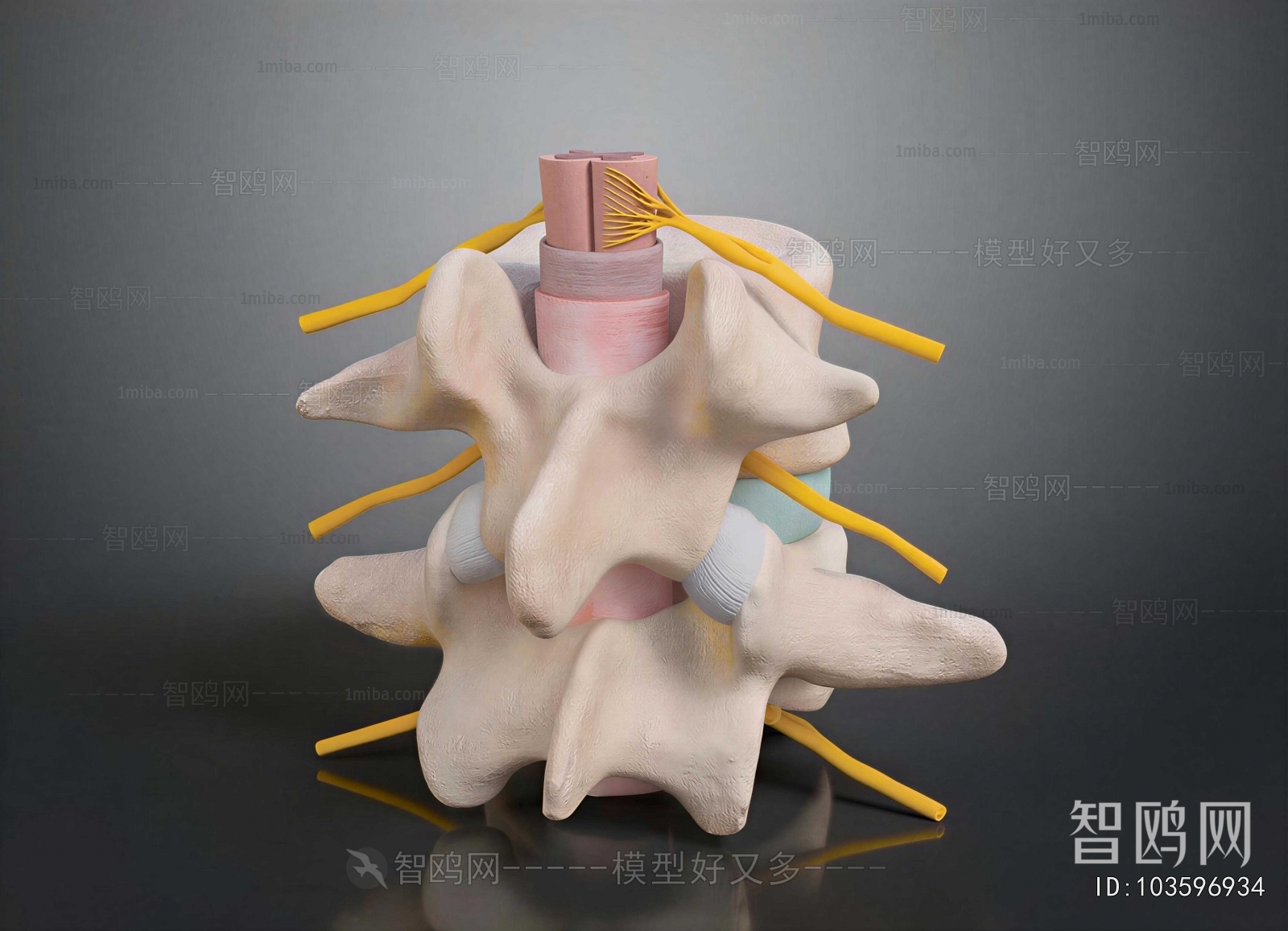 Modern Medical Equipment