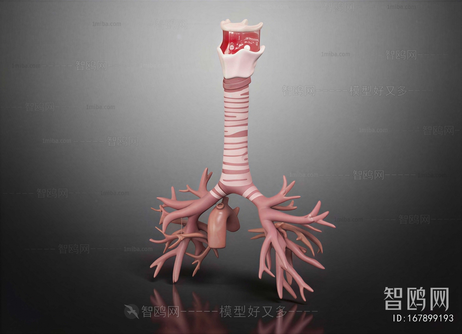 Modern Medical Equipment