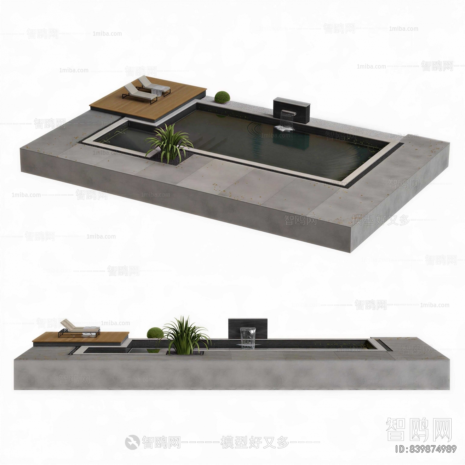 Modern Swimming Pool